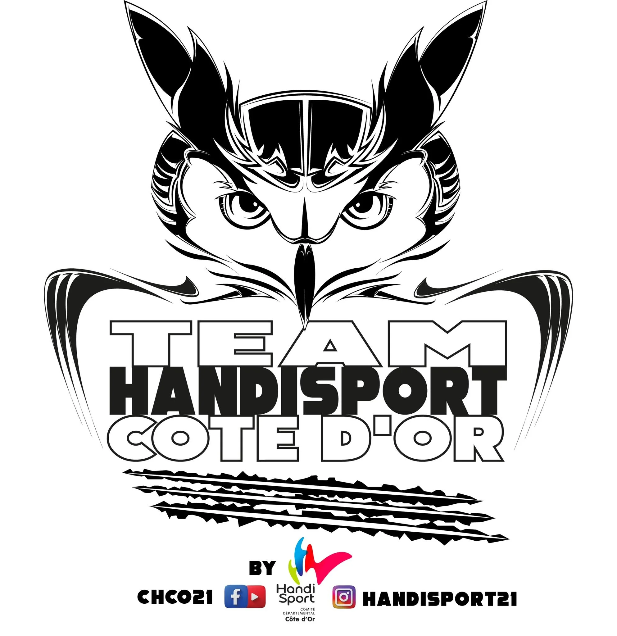 Comité Départemental Handisport Côte-d'Or